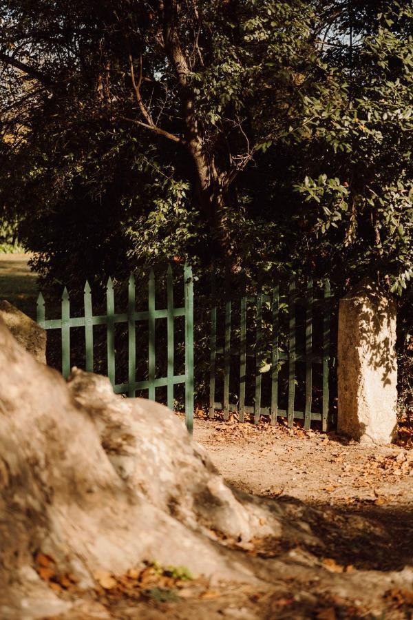 Gite Superbe L'Ecurie Xixeme Sallèles-dʼAude Dış mekan fotoğraf