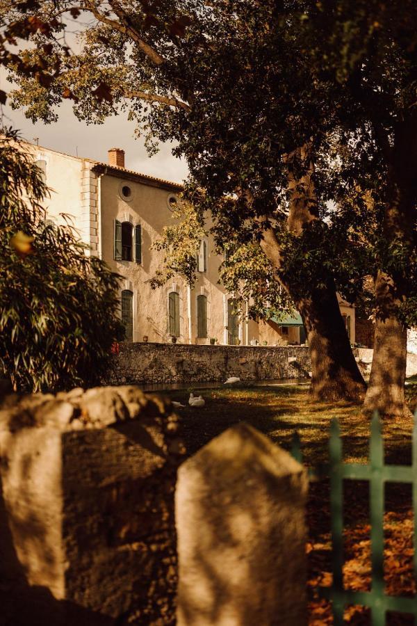 Gite Superbe L'Ecurie Xixeme Sallèles-dʼAude Dış mekan fotoğraf