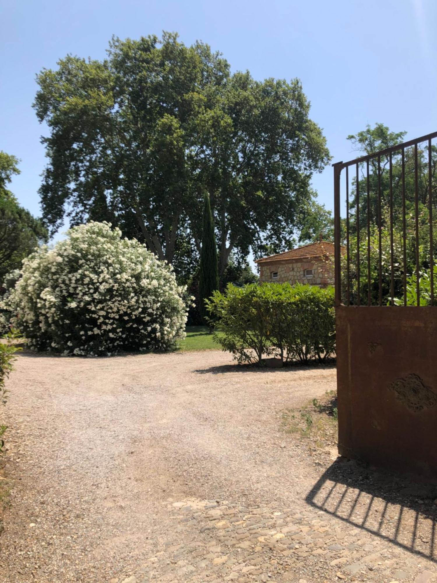 Gite Superbe L'Ecurie Xixeme Sallèles-dʼAude Dış mekan fotoğraf