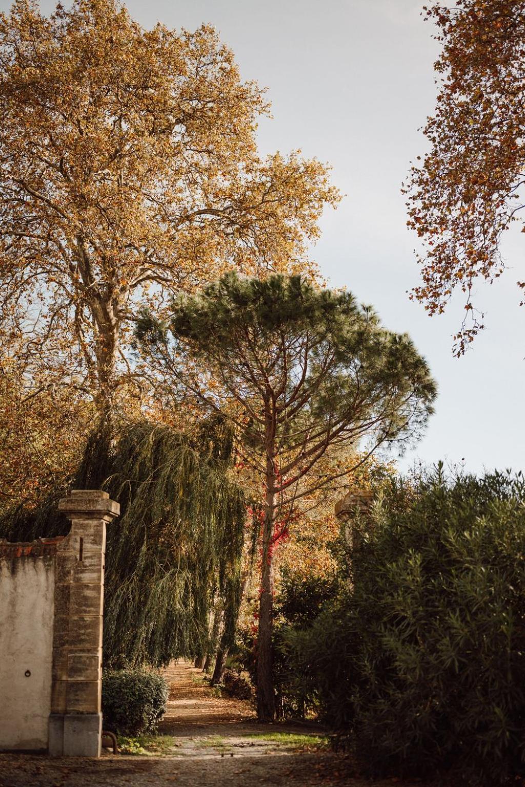Gite Superbe L'Ecurie Xixeme Sallèles-dʼAude Dış mekan fotoğraf